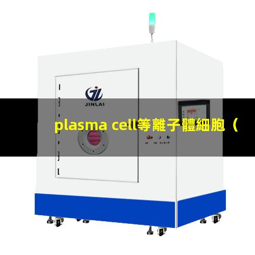plasma cell等離子體細胞